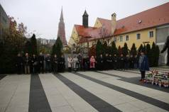 Mini IMG 0902